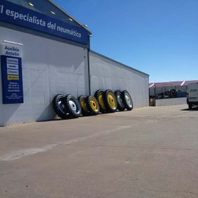 Neumáticos Auxibio Antolín llantas