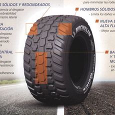 Nuevo CargoXbib