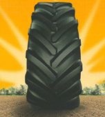 Michelin AxioBib